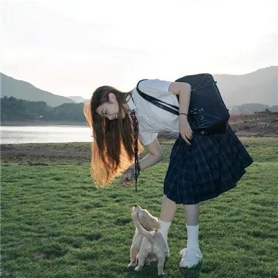 晴晚之林